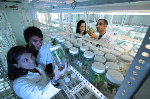 laboratory scientists research innovation technology biotechnology agriculture-1337015 (1)